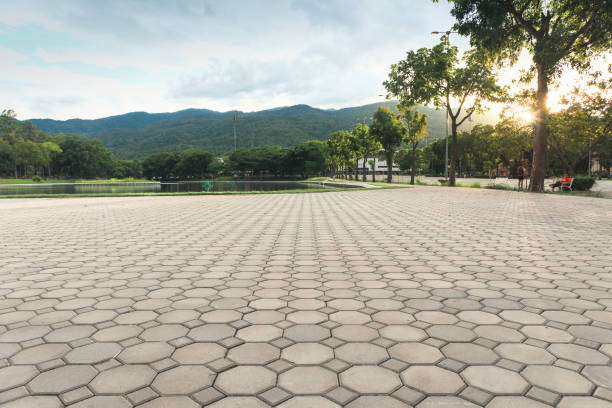 Best Cobblestone Driveway Paving in Mount Morris, IL