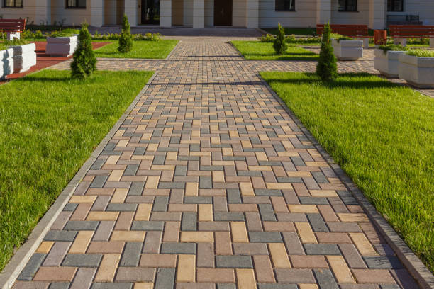 Best Custom Driveway Design and Paving in Mount Morris, IL